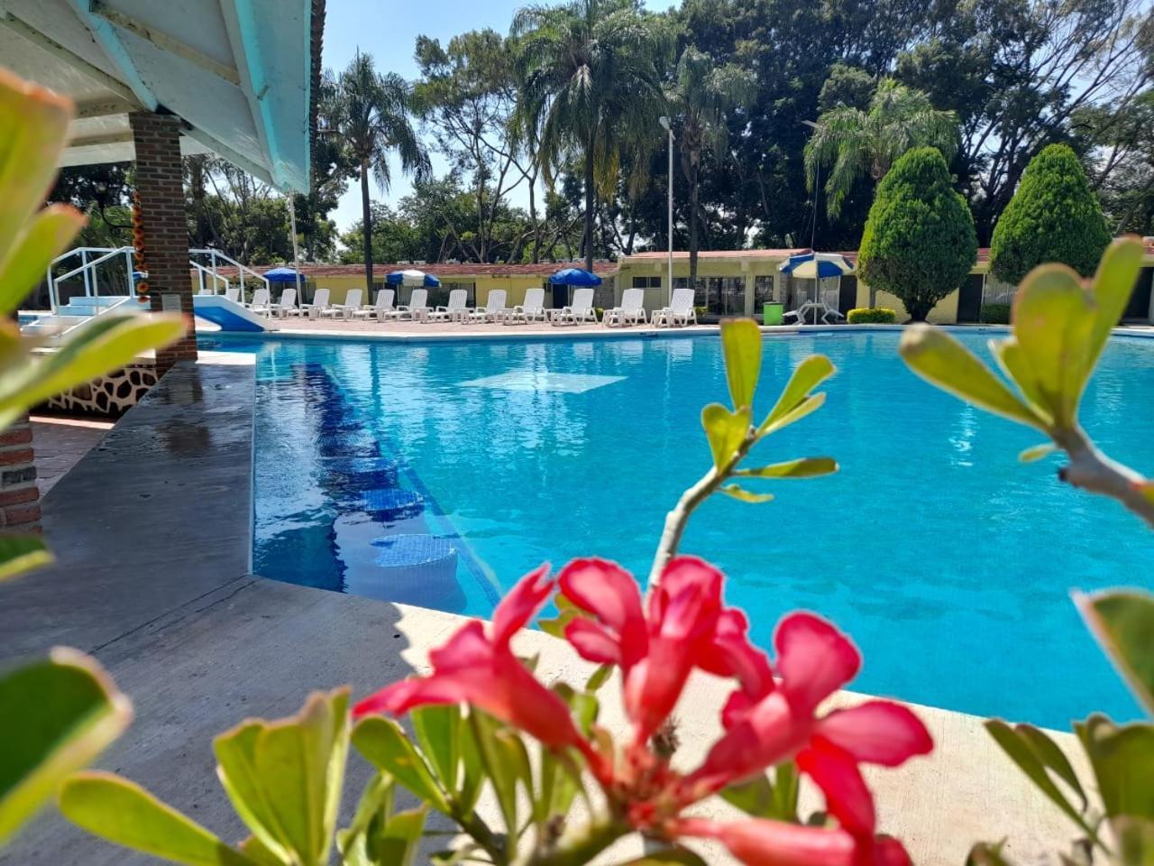 Hotel Teques Palace Xoxocotla  Экстерьер фото